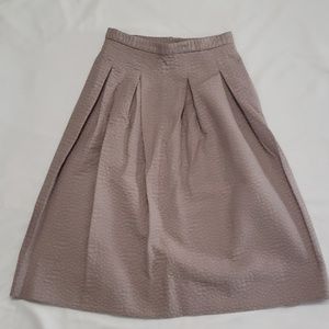 H&M A-Line Pleated Skirt